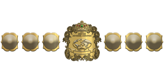 ZBCB-19 Custom Design Championship Belt