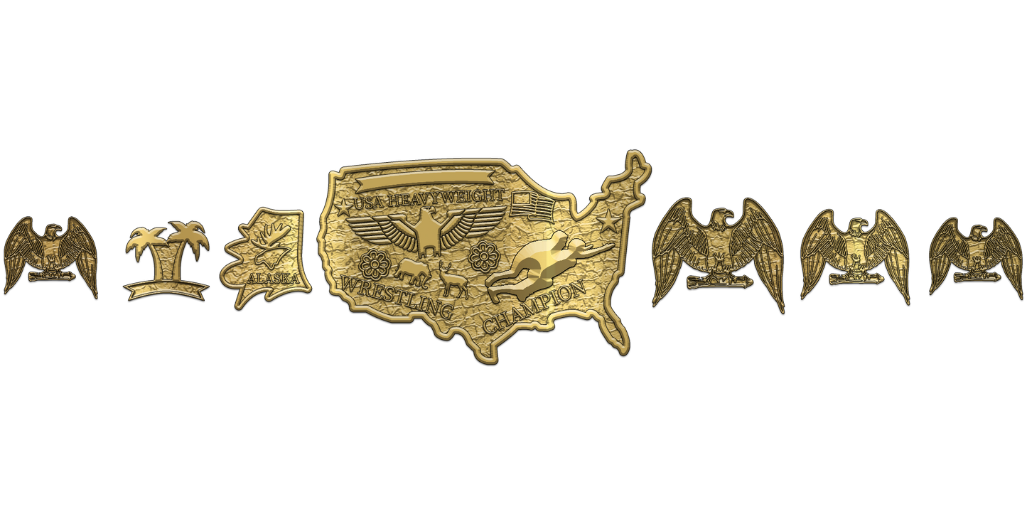 ZBCB-138 Custom Design Championship Belt